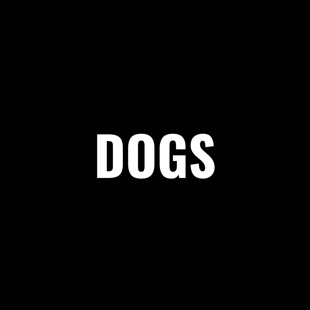 Dogs