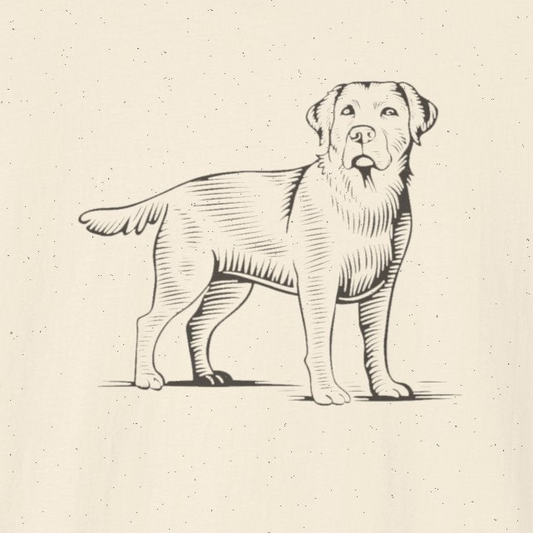 Dog Days Premium Tee-Comfort Cotton